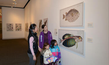 Two women and two children look at illustrations of a colorful flying gunard fish and a puffer fish.