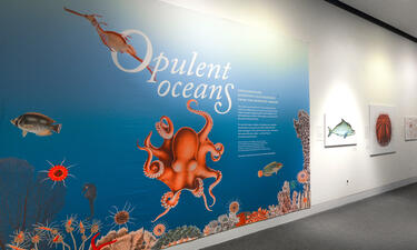 Gráfico con el titulo de la exposición Océanos Opulentos presentando una colorida escena marina con animales acuáticos.