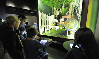 Niños usando IPads alrededor de un monitor digital que muestra una animación de un perro dormido en un jardín. 