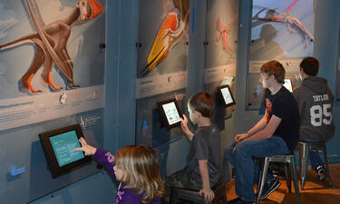 Four children sit at interactive iPad stations set against a wall with large images of pterosaurs