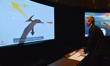 A visitor controls an interactive animated pterosaur on a large monitor explaining the lift and thrust of pterosaur wings