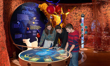 In front of a giant model of microbes attacking bacteria, three teenagers play a game at an interactive station
