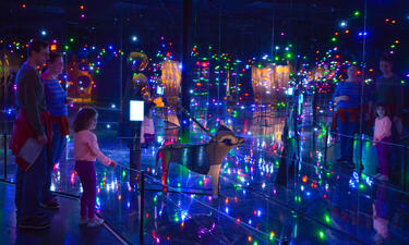 A dark room is filled with hundreds of colored twinkle lights that reflect across mirrored walls