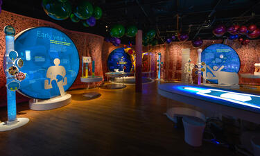 Overview of part of an exhibition gallery including large circular graphics, giant models of bacteria, and an interactive table projection of a woman