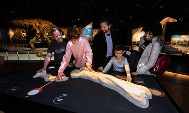 Two children and three adults look down at and touch a table that features a 3D femur bone and digitally projected measuring tools.