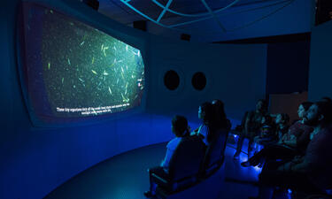 A group sits in front of mock porthole windows and a large monitor displaying an underwater image of fish and plankton
