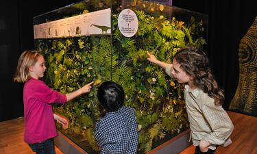 Three children stand next to a towering cube display filled with plants