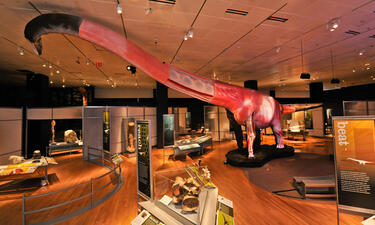 An enormous model of a sauropod is centered in the exhibition gallery surrounded by interactive exhibits