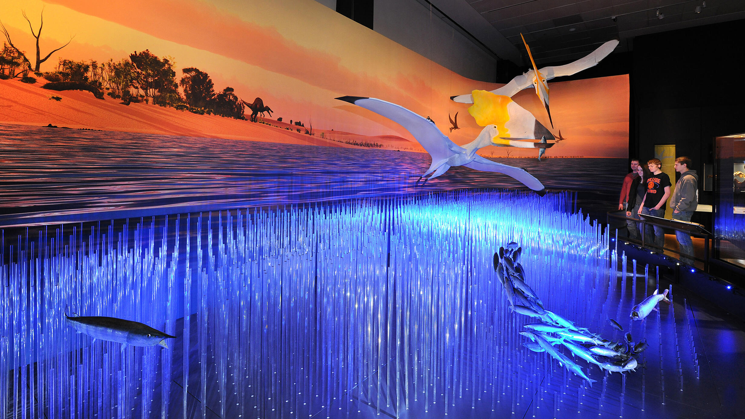 In a large diorama two models of pterosaurs with orange crests soar over a blue ocean
