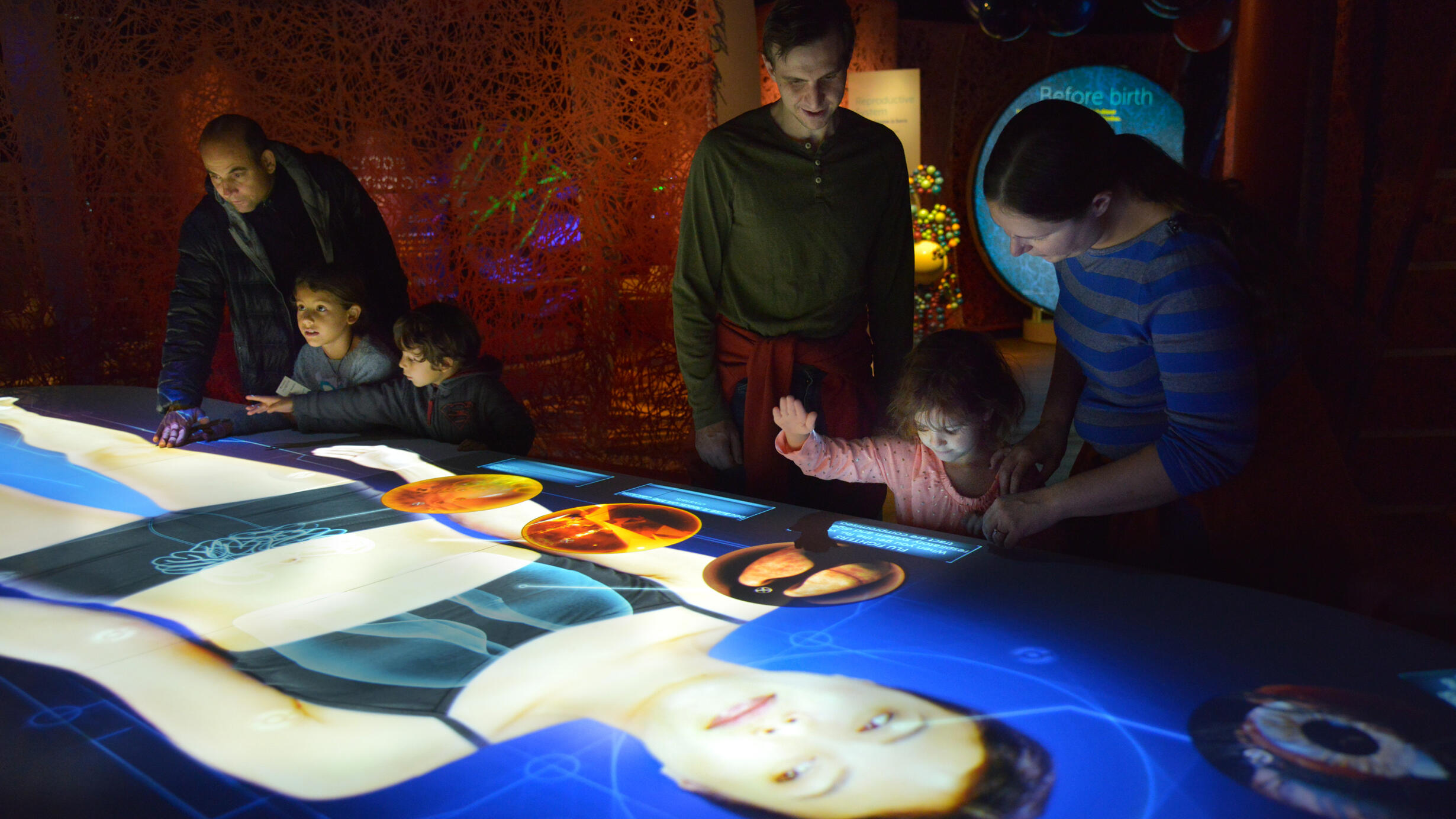 Two groups of families interact with a table projection of a woman with details of microbes inside the body