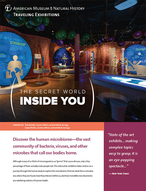 The Secret World Inside You brochure