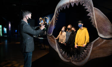 A visitor takes a photo of a group of visitors posing inside a life-sized replica of megalodon jaws.