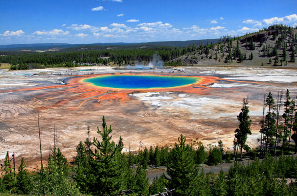 The vividly colored hot spring, Grand Prismatic Spring, surrounded by dark ground and past that, forest trees.