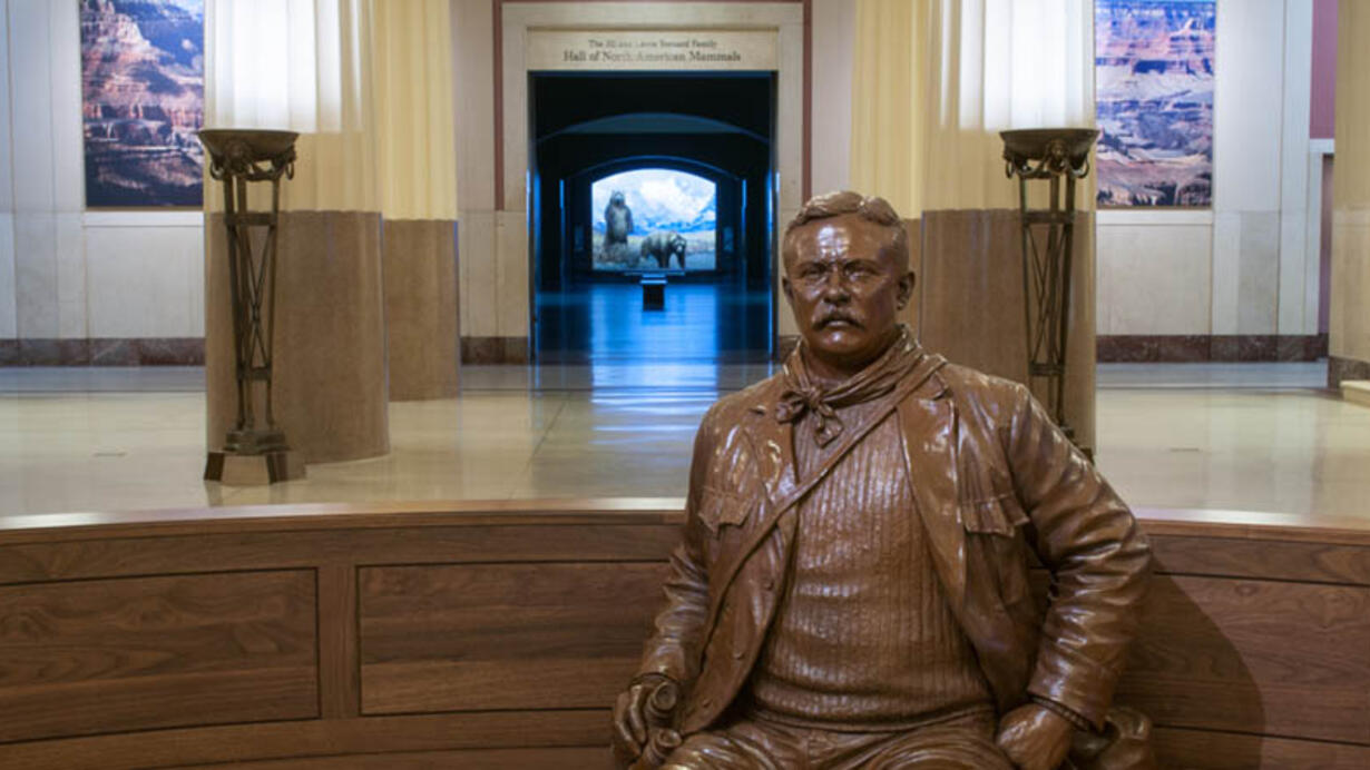 Theodore Roosevelt Sculpture American Museum of Natural History