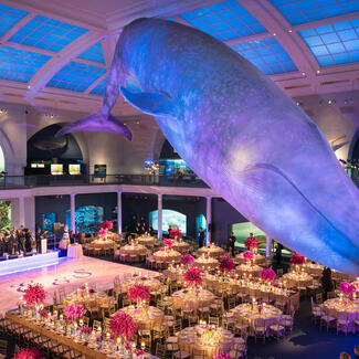 Tables decorated with votive candles, flowers, glassware and tableware are set for an event below the life-sized blue whale model suspended from the ceiling of the Hall of Ocean Life.