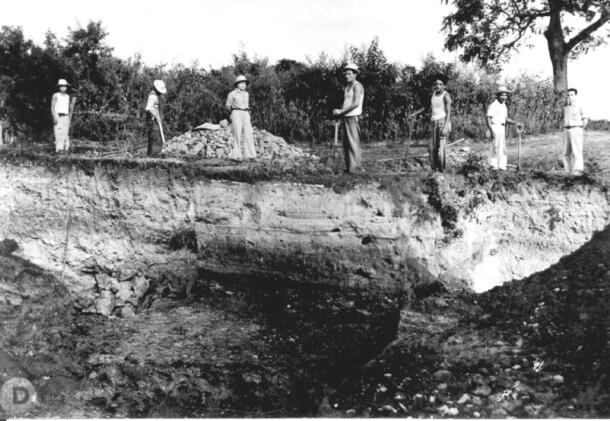 Seven people at the edge of an excavation pit holding long-handled shovels; Ekholm with his team at Tabuco, Tuxpan region in 1947.
