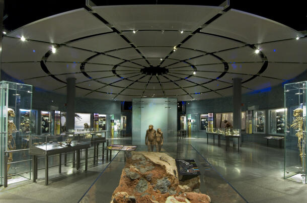 The entrance of the Hall of Human Origins with various exhibits, including the extinct primate couple and skeletons in glass cases, visible.