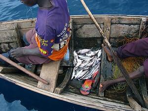 Two people sitting in a small row boat with nets.