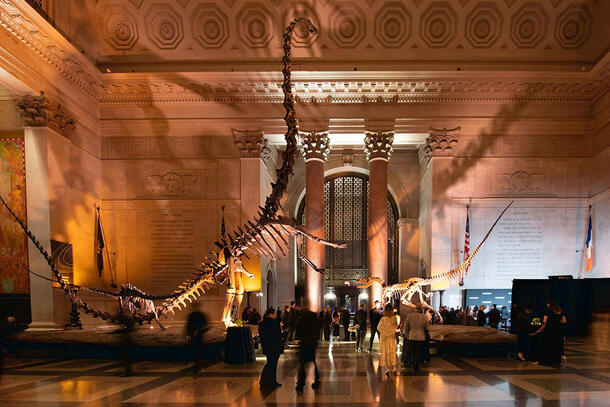Vistors gather inside the Museum's rotunda for an evening event.