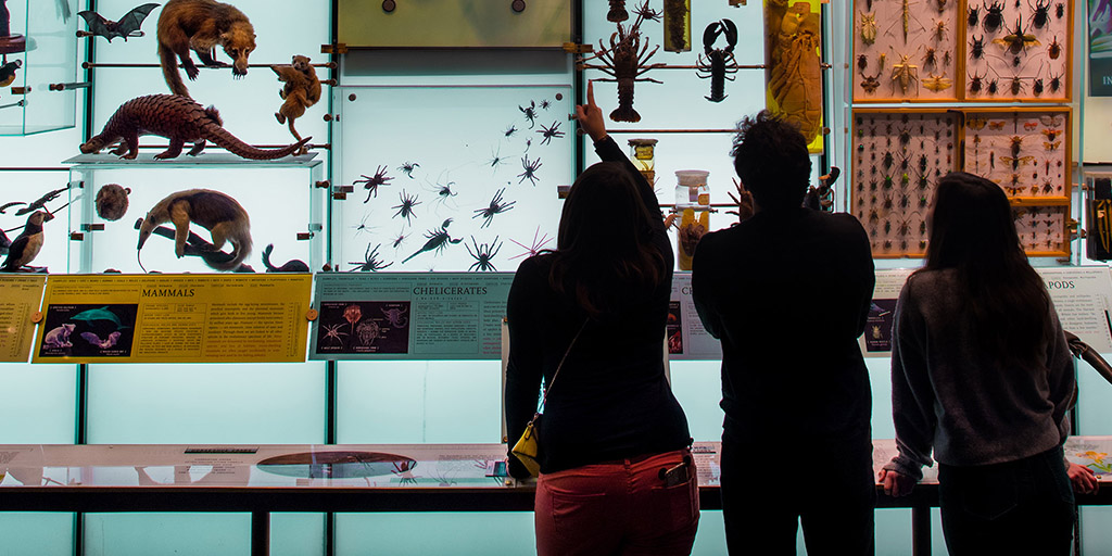 Amnh top coupon code
