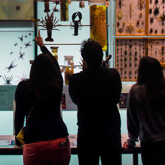 Members visit the Museum's Hall of Biodiversity.