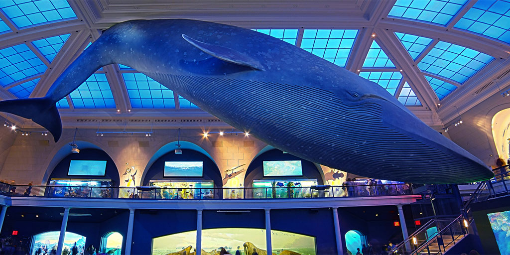 Join & Support | American Museum of Natural History