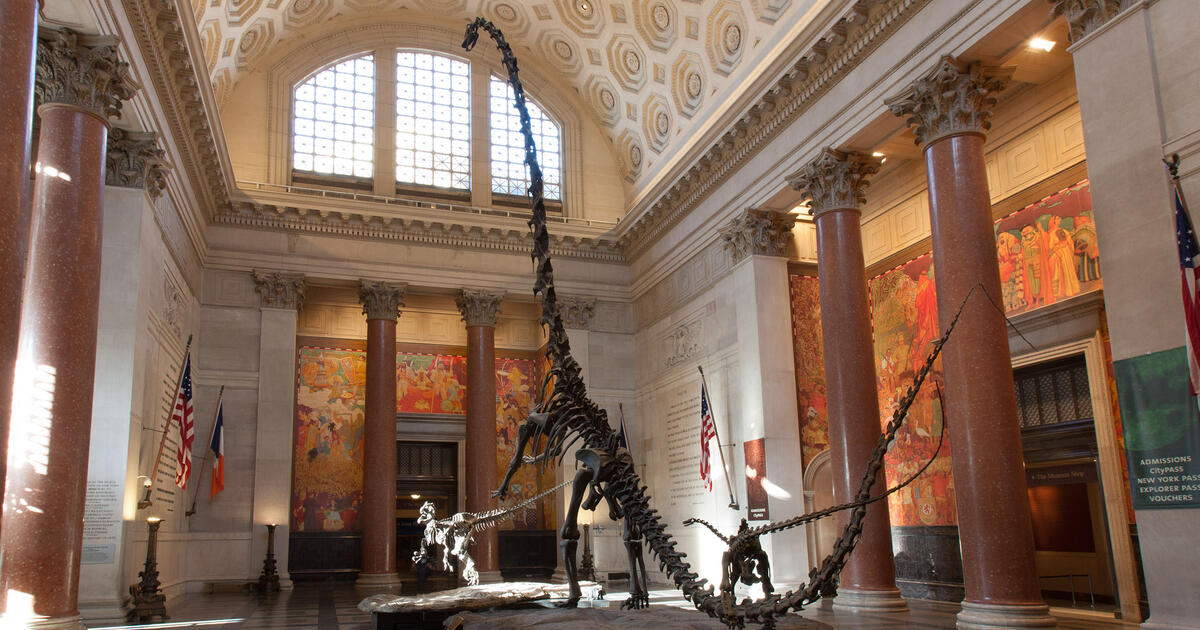 Member Evening Hours Exclusive Access to the Museum AMNH