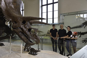 Three adults and a child view the Triceratops fossil skeleton mount in the Museum's Hall of Ornithischian Dinosaurs.