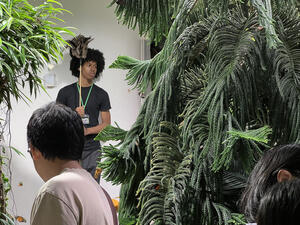 Museum volunteer Aldrin stands by the wall of the Davis Butterfly Vivarium and holds a net upright. 