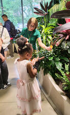 AMNH volunteer Andrea Weiner holds an orange slice with a butterfly on it out in the Butterfly Vivarium to show a child in a frilly dress.