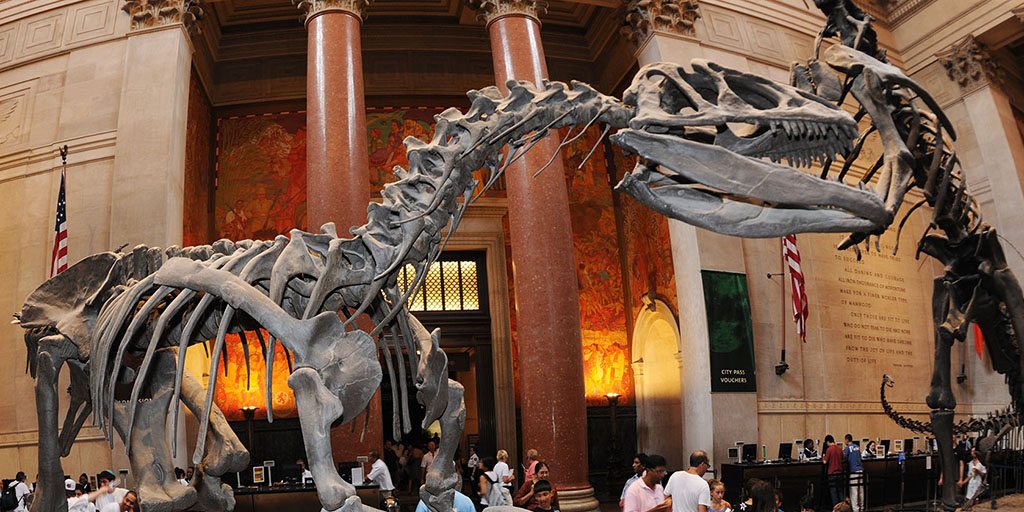 Plan Your Visit | American Museum of Natural History