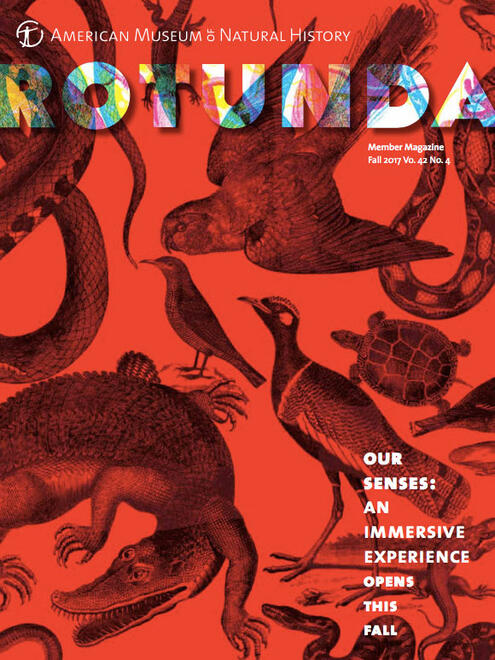 Cover of Rotunda Member magazine, Fall 2017 issue.