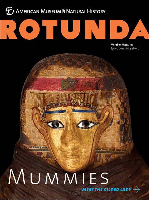 Rotunda Spring 2017 cover