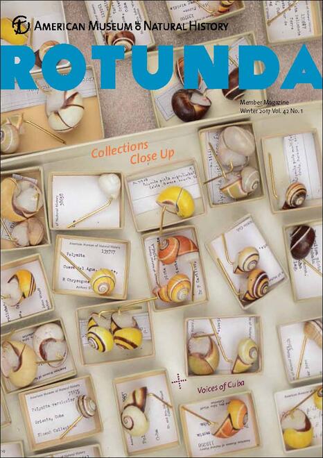 Rotunda Winter 2017 issue