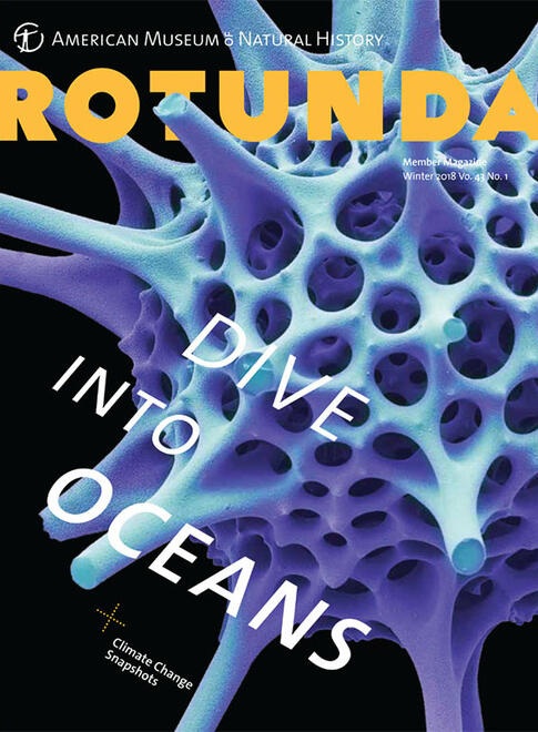 Cover of Rotunda Member magazine, Winter 2018 issue.