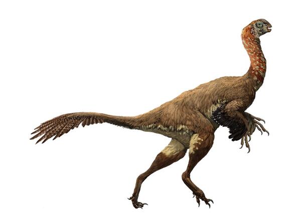 Rendering of a Khaan mckennai, an oviraptorid dinosaur with a feathered body and spotted neck.