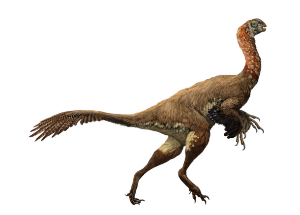 Rendering of a Khaan mckennai, an oviraptorid dinosaur with feathers, a long spotted neck, and a toothless beak.