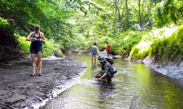 Three residents stand in a river, and one stands alongside it as they search the riverbed for specimens.