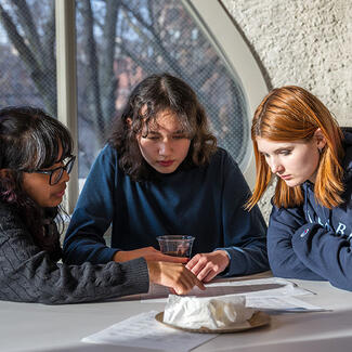 Research Projects | American Museum of Natural History