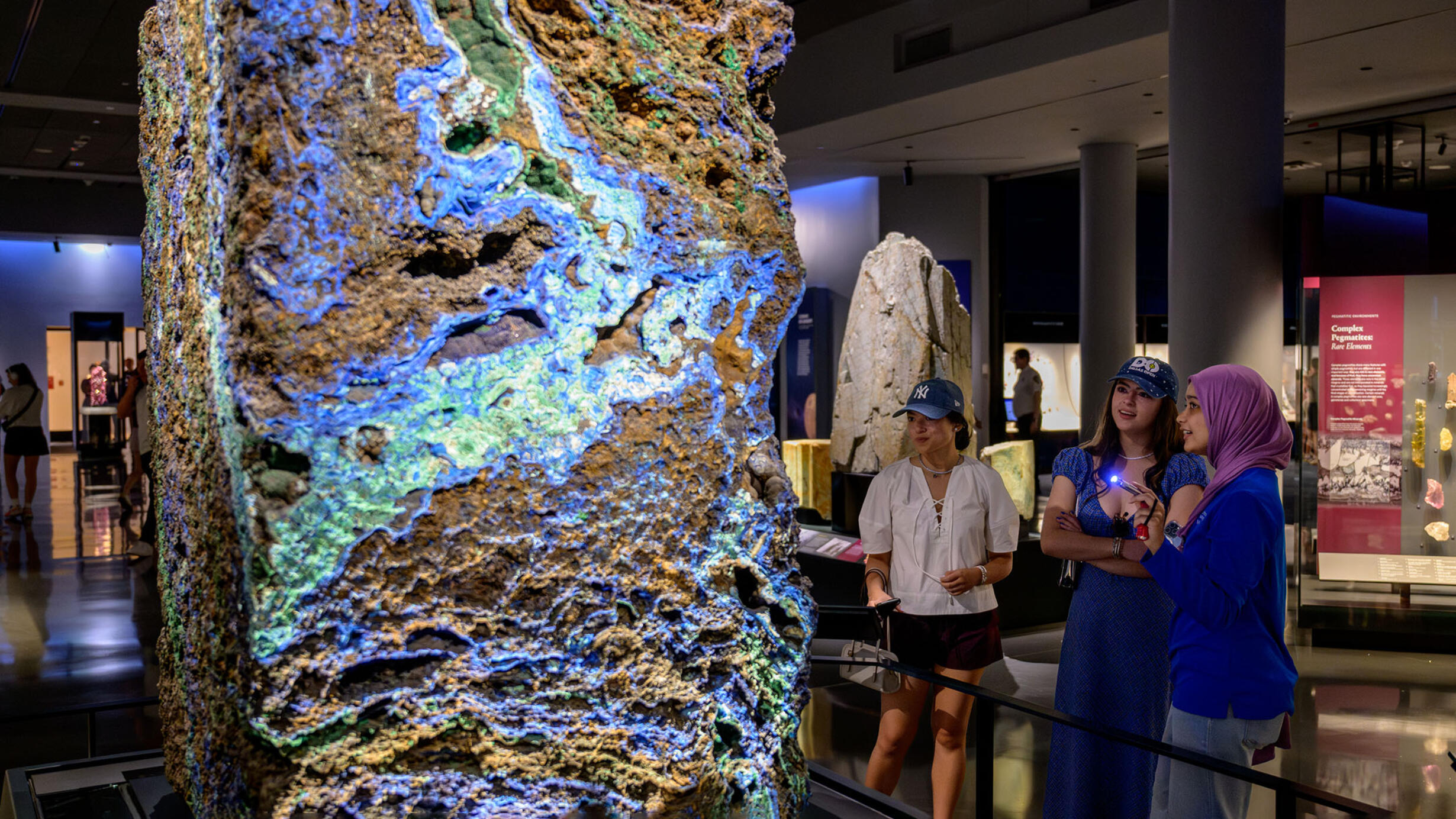 Museum Education Experience Program (MEEP) Internship | AMNH