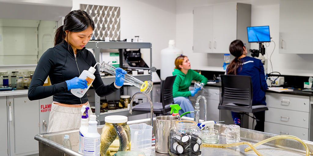 Science Research Mentoring Program College Internship Amnh