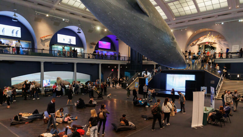Visitors are seated and standing beneath the life-sized Blue Whale model suspended from the ceiling in the Milstein Hall of Ocean Life.