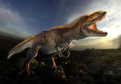 Image of a T Rex 