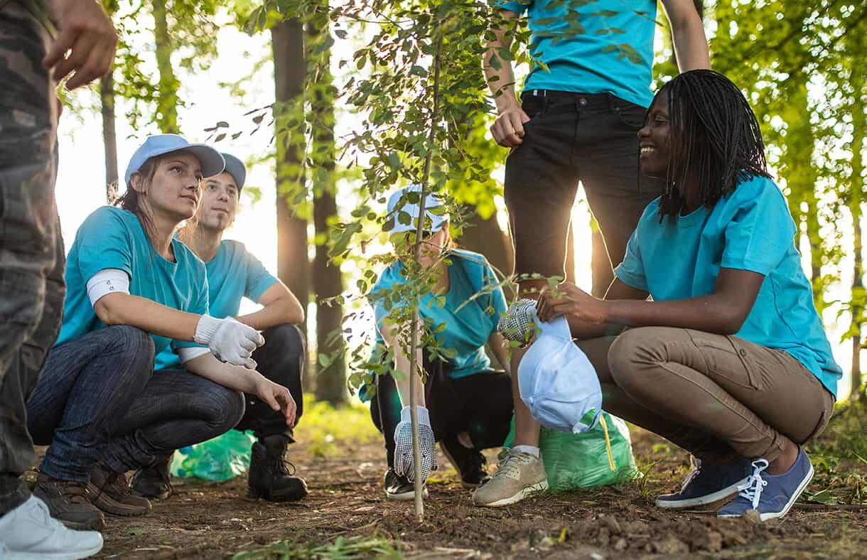 group of people planting a tree