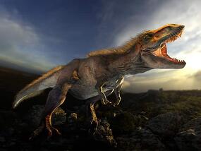 Image of t rex 