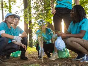 group of people planting a tree