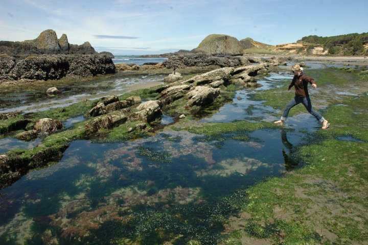 Photo of Kelly Baraki