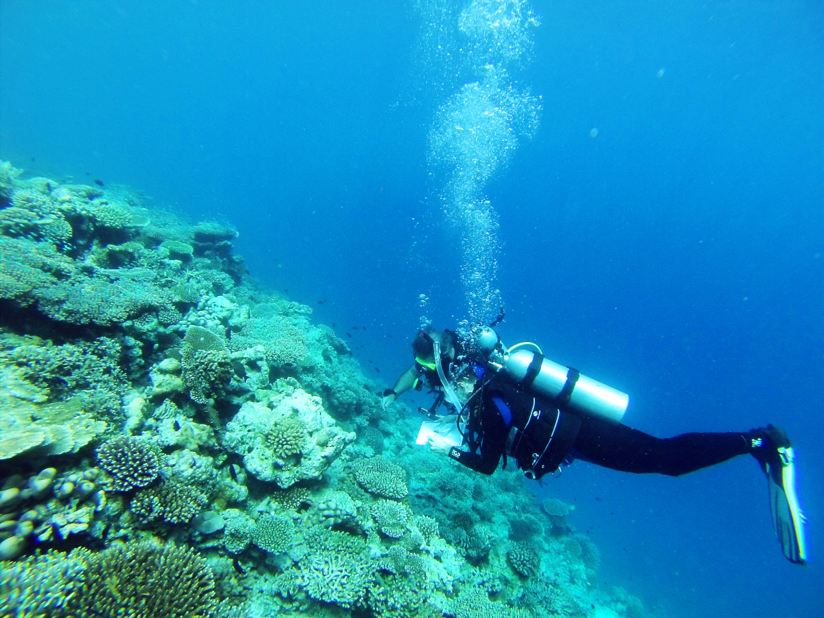 photo of Philip Pepe scuba diving