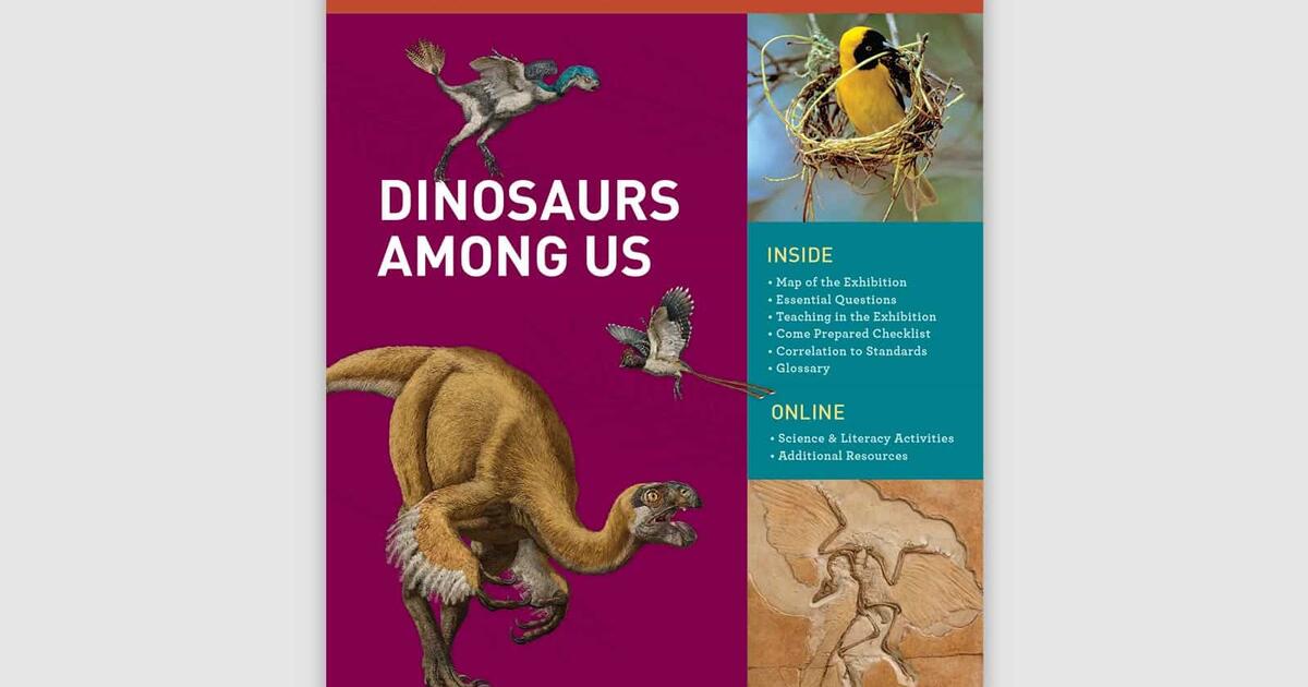 Educator Resources Dinosaurs Among Us Exhibit Amnh Educator Resources Dinosaurs Among Us Exhibit Amnh