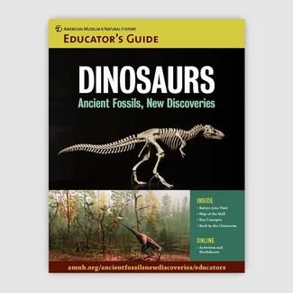 Cover of Educator's Guide titled "Dinosaurs: Ancient Fossils, New Discoveries" featuring a dinosaur skeleton and a dinosaur shown in habitat.